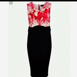 Ted Baker Office Sexy Bodycon Dress T2/US6